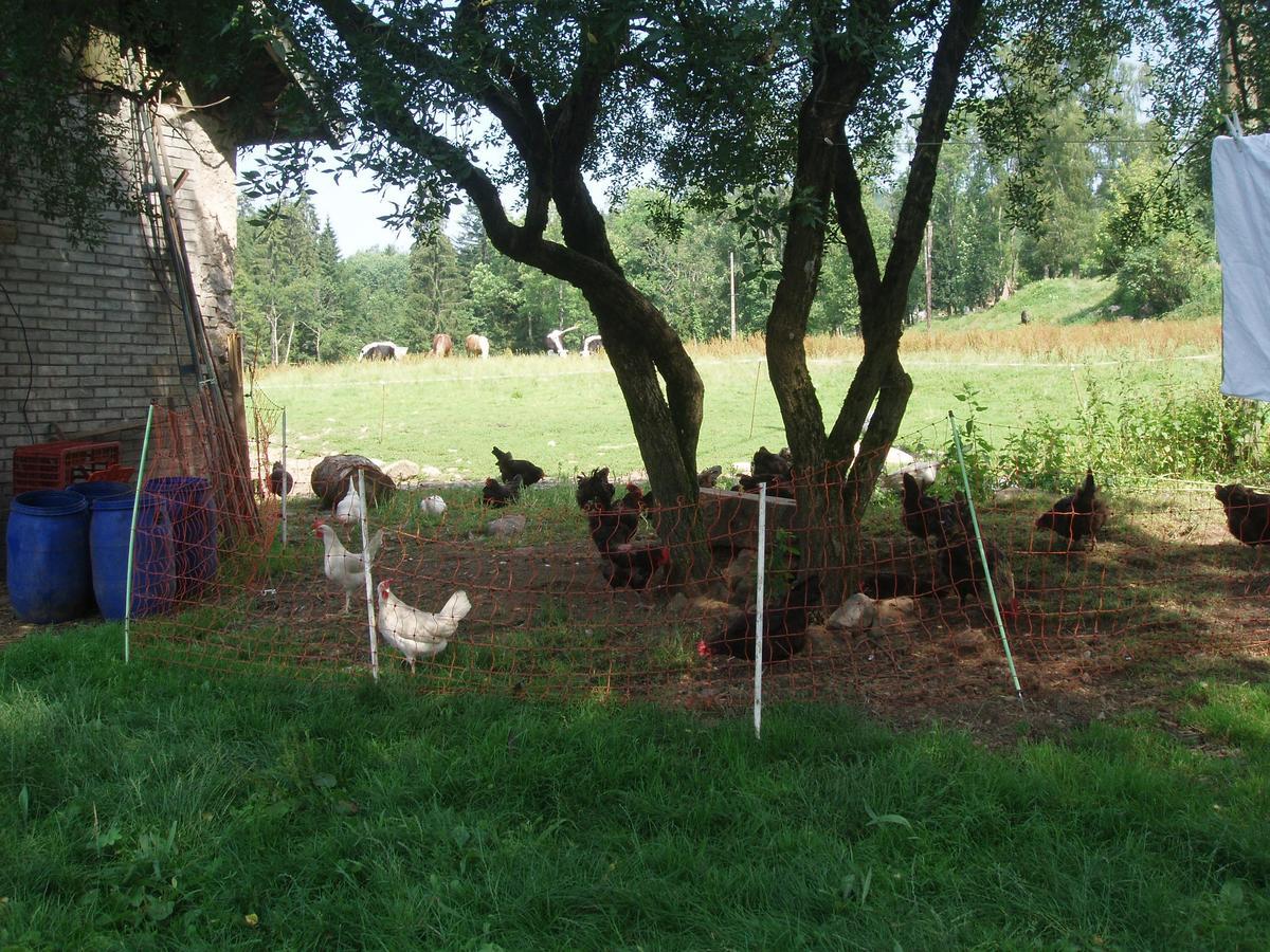 Ferme Du Haut Barba Liézey Екстериор снимка